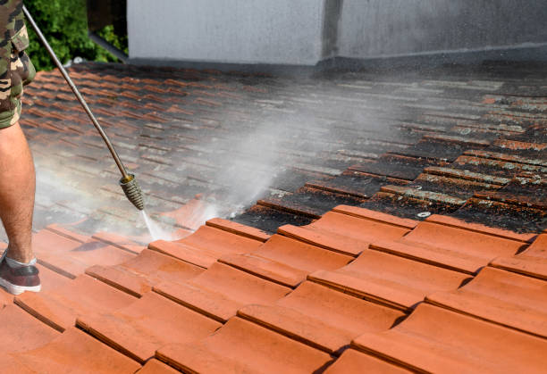 Best Concrete Pressure Washing  in Lawton, IA