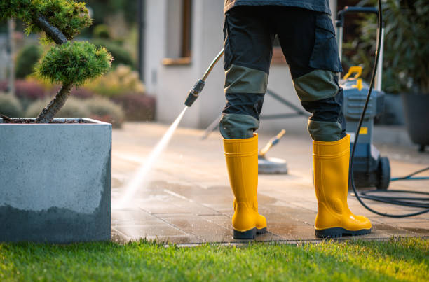 Best Pressure Washing Company Near Me  in Lawton, IA